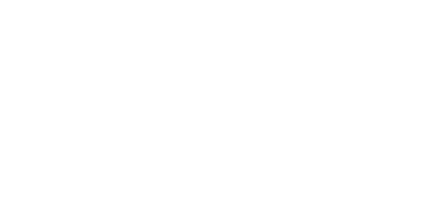 Team Cargo Perú